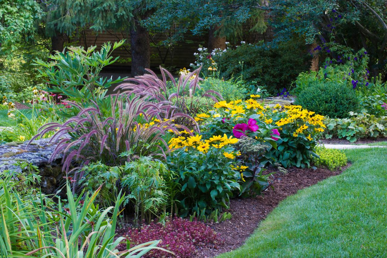 How to Care for Your Perennial Garden Plants